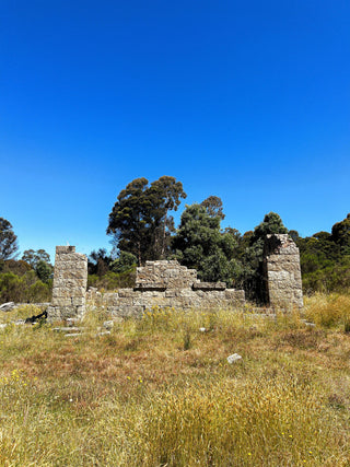 The birth of Australian silk