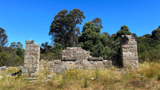 The origins of Australian silk